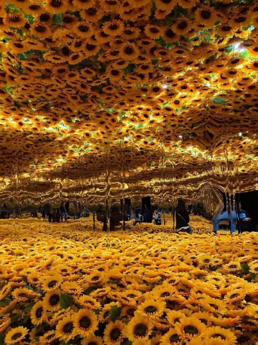 [The Sunflower Room] from Van Gogh Alive Exhibition
